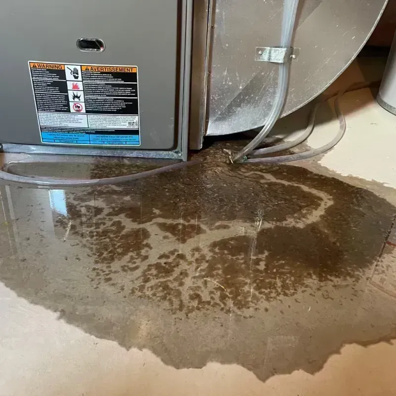 Appliance Leak Cleanup in Security-Widefield, CO